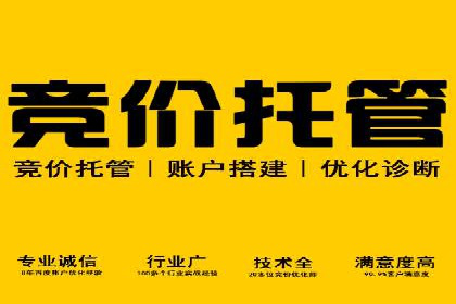 百度推广服务费案例分析：成功背后的秘密